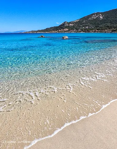 Balagne : un marché qui tient toute la saison – photo 1