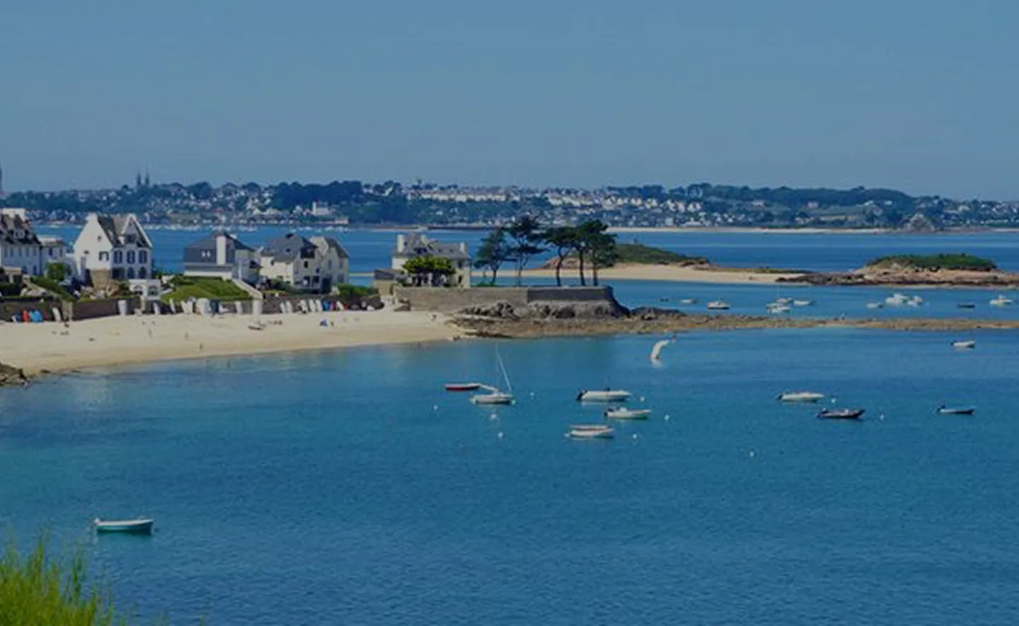 Finistère Sud : un marché qui dépasse la saison estivale – photo 1